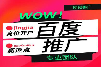 百度推广实战教程：多角度案例分析